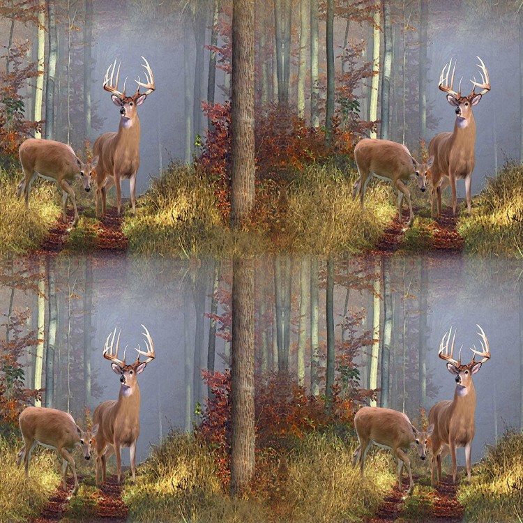 whitetail buck wallpaper