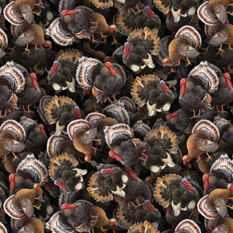 Turkey Wallpaper