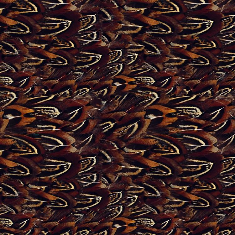 Pheasant Feather Wallpaper