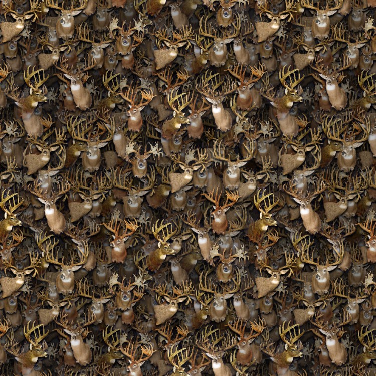 Whitetail Buck Shoulder Mount Wallpaper – Uniquely Wallpaper