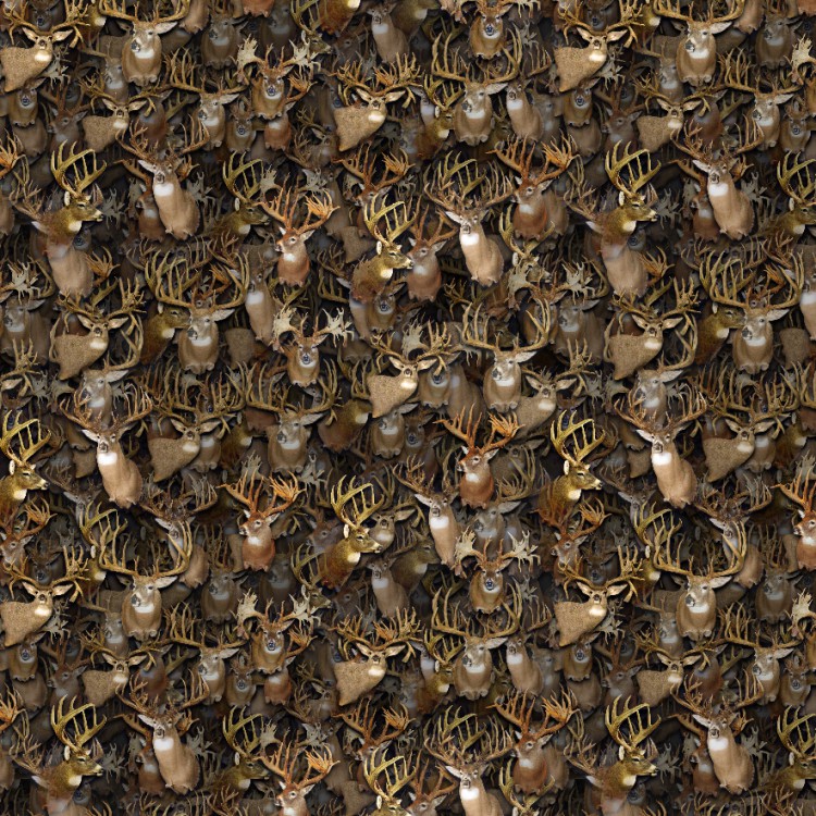 Whitetail Buck Shoulder Mount Wallpaper