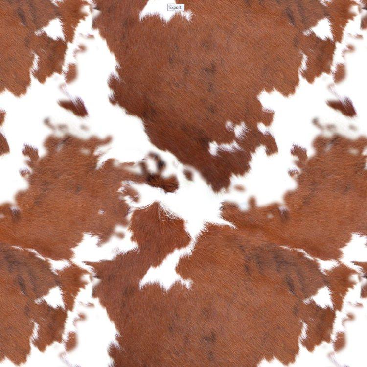 Orange Longhorn Hide Wallpaper