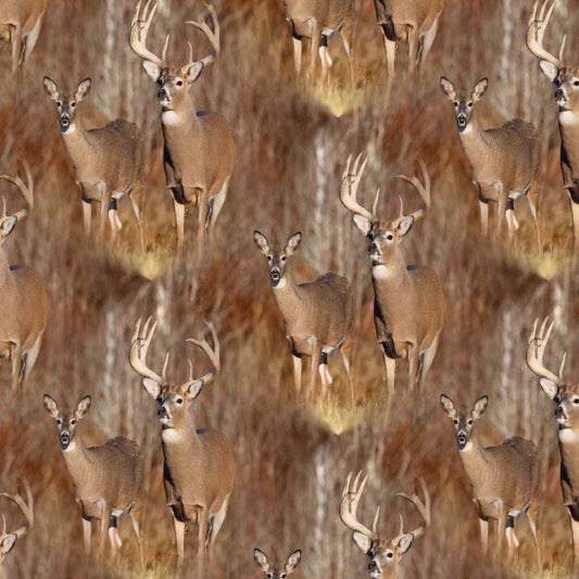Whitetails Afield Wallpaper