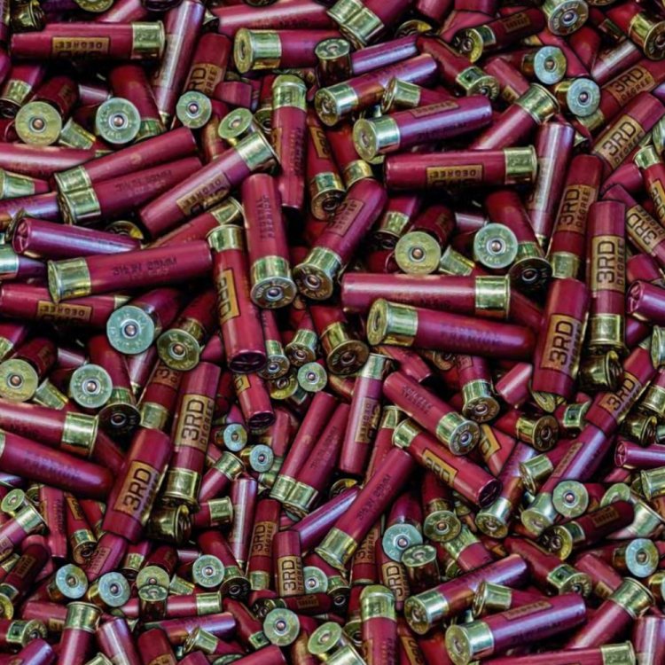 Shotgun Shells Background
