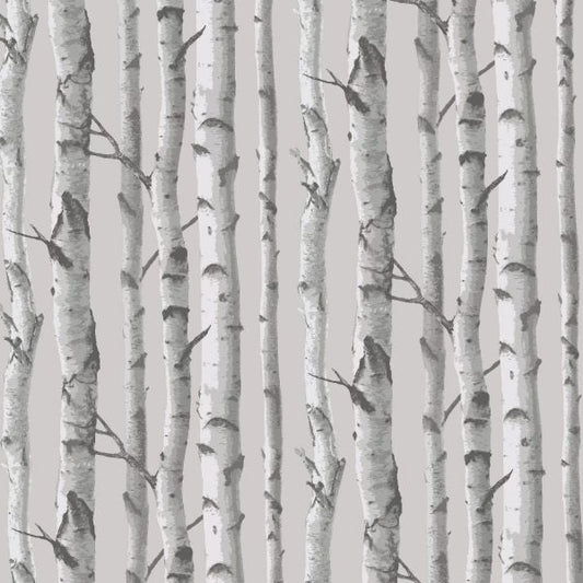 Birch Tree Forrest Peel and Stick Wallpaper