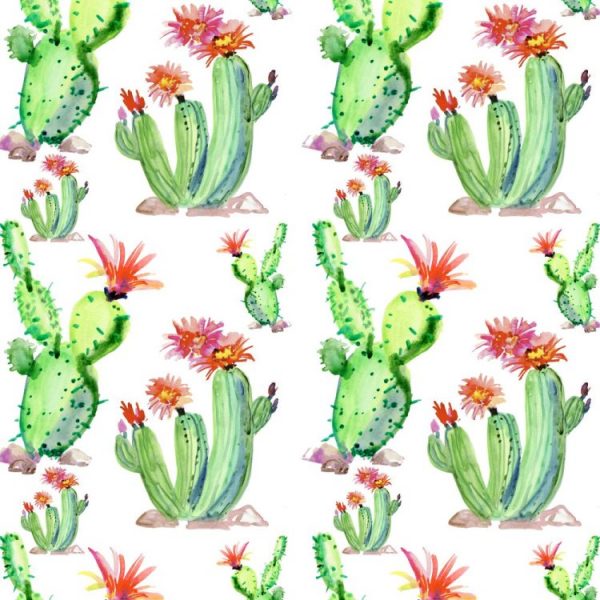 Cactus Watercolor White Peel and Stick Wallpaper