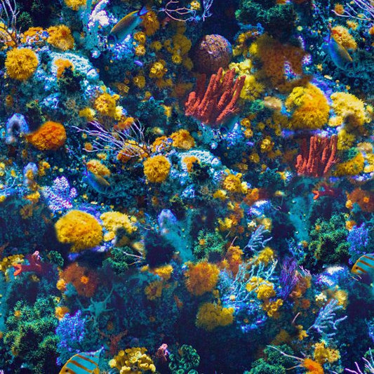 Dark Coral Reef Wallpaper