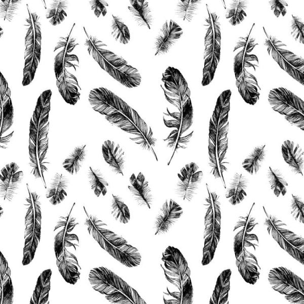 Feathers Black and White Peel and Stick Wallpaper