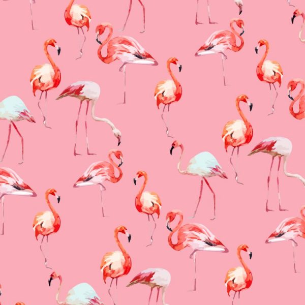 Flamingos Wallpaper