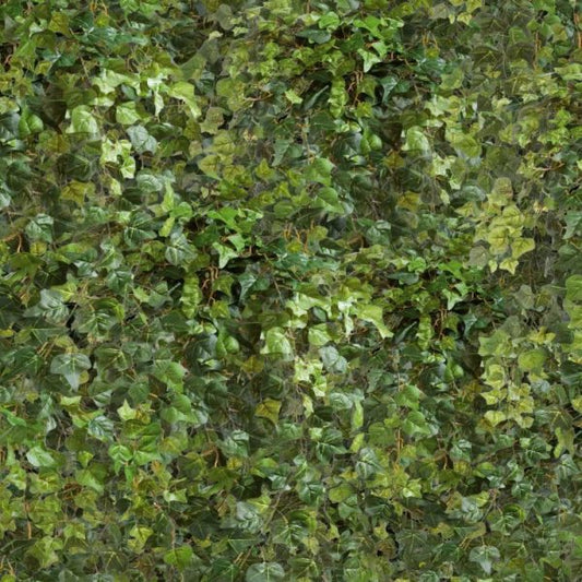 Hanging Ivy Wallpaper