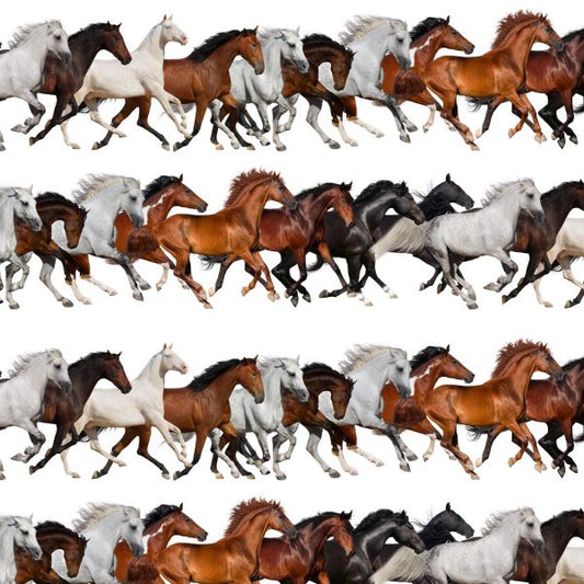 Running Mustangs Peel and Stick Wallpaper
