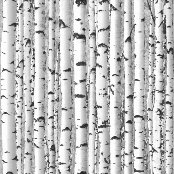 Snow Birch Peel and Stick Wallpaper