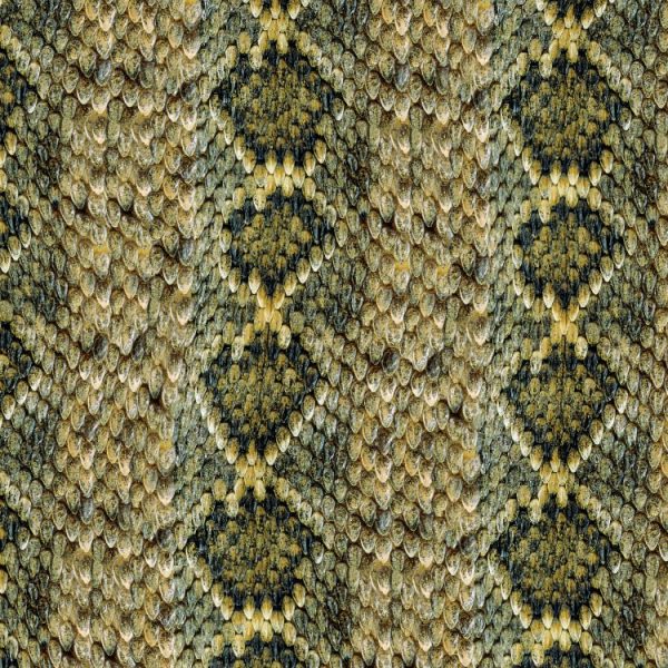 Western Diamondback Rattler Skin Wallpaper