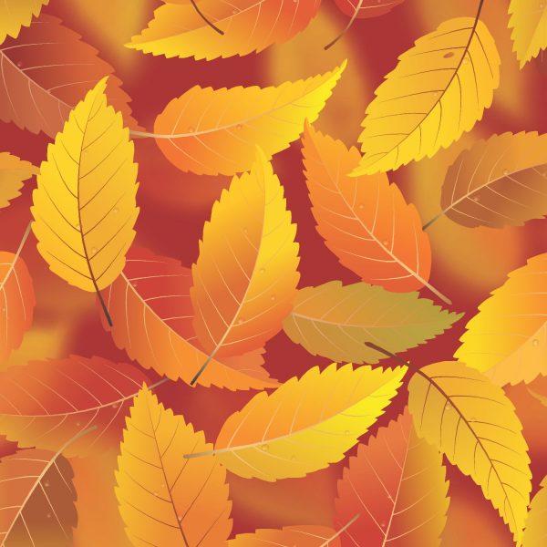 Autumn Leaves Peel and Stick Wallpaper