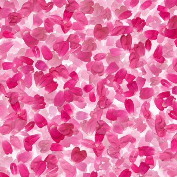 Pink Flower Petals Floral Peel and Stick Wallpaper