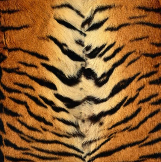 Tiger Print Peel and Stick Wallpaper